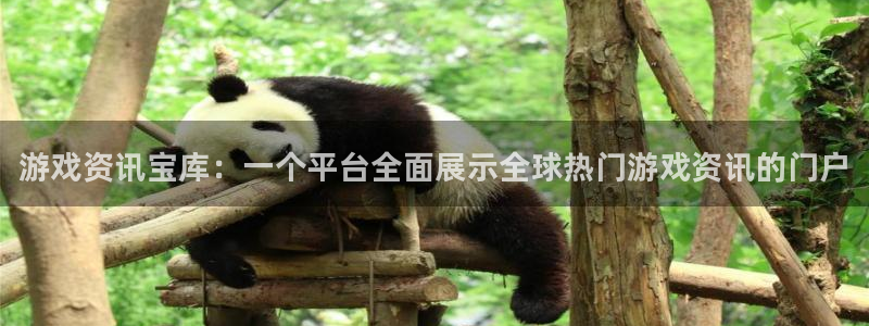 天美娱乐测速登陆：游戏资讯宝库：一个平台全面展示全球热门游戏