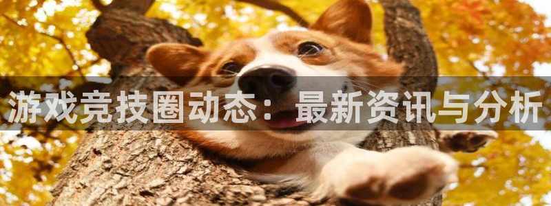 天美娱乐开户测速：游戏竞技圈动态：最新资讯与分析