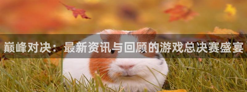 天美娱乐app：巅峰对决：最新资讯与回顾的游戏总决赛盛宴