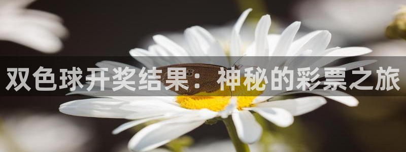 51视频在线直播nba：双色球开奖结果：神秘的彩票之旅