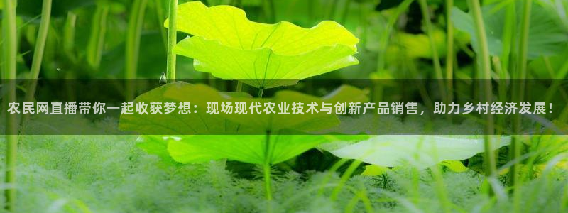51视频在线直播nba：农民网直播带你一起收获梦想：现场现代农业技术与创新产品销售，助力乡村经济发展！