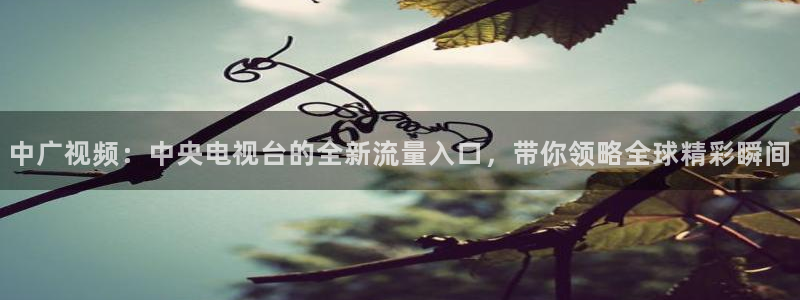 51视频在线直播nba：中广视频：中央电视台的全新流量入口，带你领略全球精彩瞬间