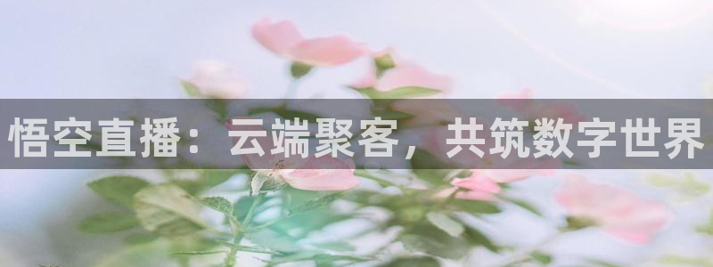 51视频在线直播nba：悟空直播：云端聚客，共筑数字世界