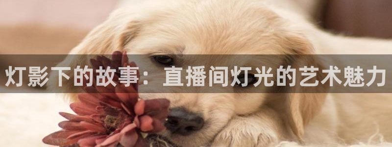 51视频在线直播nba：灯影下的故事：直播间灯光的艺术魅力