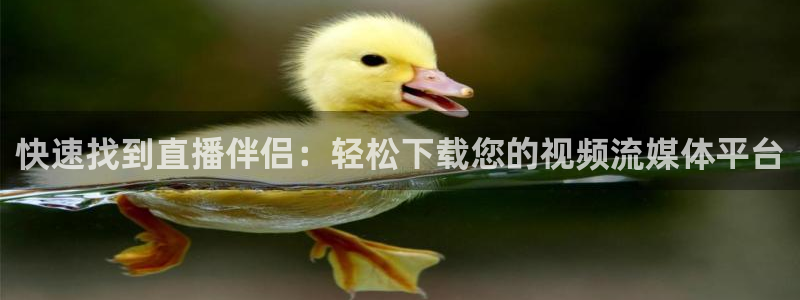 51视频在线直播nba：快速找到直播伴侣：轻松下载您的视频流媒体平台