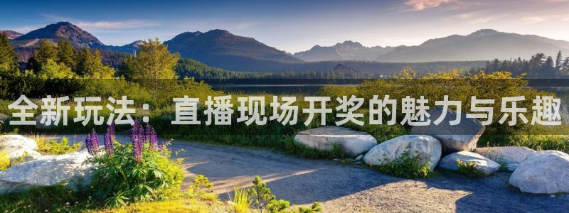 51视频在线直播nba：全新玩法：直播现场开奖的魅力与乐趣