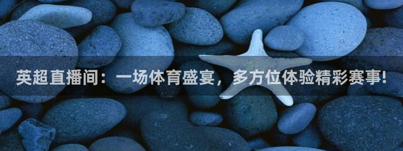 51视频在线直播nba：英超直播间：一场体育盛宴，多方位体验精彩赛事!