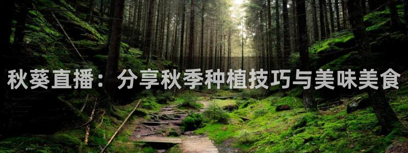 51视频在线直播nba：秋葵直播：分享秋季种植技巧与美味美食