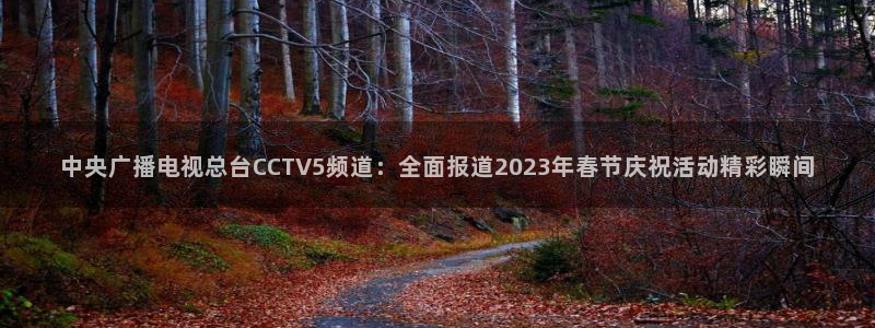 51视频在线直播nba：中央广播电视总台CCTV5频道：全面报道2023年春节庆祝活动精彩瞬间