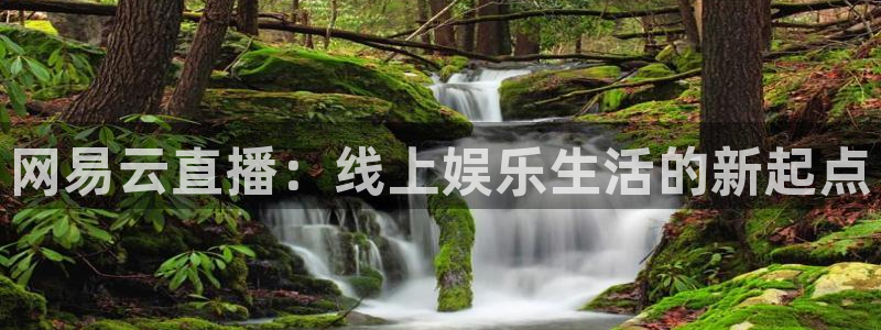 51视频在线直播nba：网易云直播：线上娱乐生活的新起点